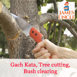 Gachh kata, Tree cutting, Bush clearing Mr. Kamal Saha in Mankundu